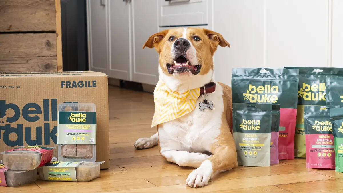 Happy dog with Bella+Duke natural treats